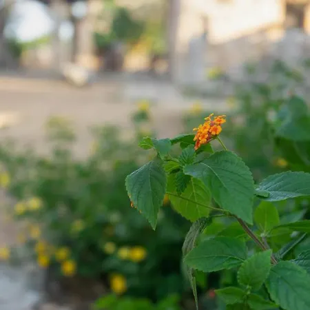 Levante E Libeccio Vista Mare - Marina Di Holiday home *