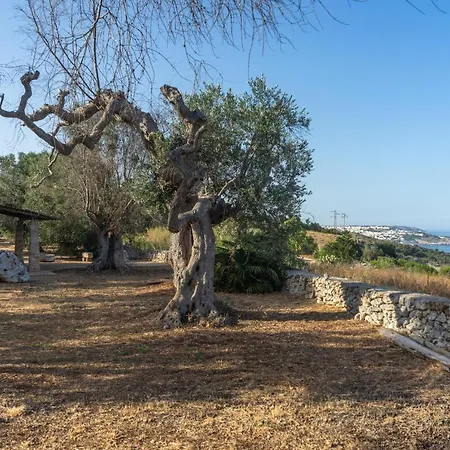 Σπίτι διακοπών Levante E Libeccio Vista Mare - Marina Di *